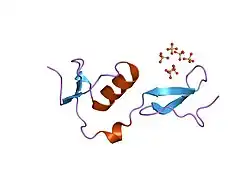 1lr7: Crystal structure of Fs1, the heparin-binding domain of follistatin, complexed with the heparin analogue sucrose octasulphate (SOS)