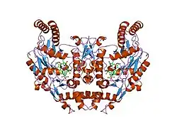 1mmw: Rat neuronal NOS heme domain with vinyl-L-NIO bound