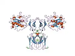 1mq8: Crystal structure of alphaL I domain in complex with ICAM-1