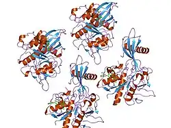 1nb5: Crystal structure of stefin A in complex with cathepsin H