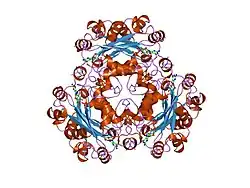 1nue: X-RAY STRUCTURE OF NM23 HUMAN NUCLEOSIDE DIPHOSPHATE KINASE B COMPLEXED WITH GDP AT 2 ANGSTROMS RESOLUTION