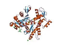 1nwk: CRYSTAL STRUCTURE OF MONOMERIC ACTIN IN THE ATP STATE