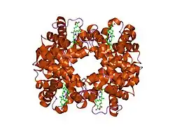 1o1n: Deoxy hemoglobin (A-GLYGLYGLY-C:V1M,L29W; B,D:V1M)