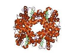 1o1o: Deoxy hemoglobin (A,C:V1M,V62L; B,D:V1M,V67L)
