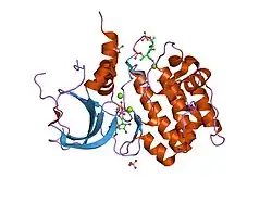 1ol5: STRUCTURE OF AURORA-A 122-403, PHOSPHORYLATED ON THR287, THR288 AND BOUND TO TPX2 1-43