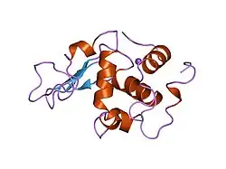 1ouc: CONTRIBUTION OF HYDROPHOBIC RESIDUES TO THE STABILITY OF HUMAN LYSOZYME: X-RAY STRUCTURE OF THE V110A MUTANT
