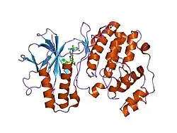 1ouy: The structure of p38 alpha in complex with a dihydropyrido-pyrimidine inhibitor