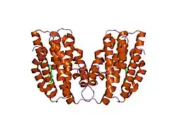 1oze: Crystal Structures of the Ferric, Ferrous, and Ferrous-NO Forms of the Asp140Ala Mutant of Human Heme Oxygenase-1:Catalytic Implications
