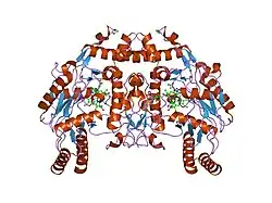 1p6l: Bovine endothelial NOS heme domain with L-N(omega)-nitroarginine-2,4-L-diaminobutyric amide bound