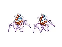 1pue: PU.1 ETS DOMAIN-DNA COMPLEX