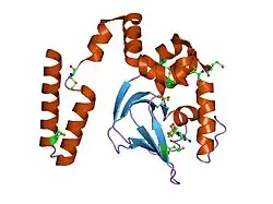 1q5o: HCN2J 443-645 in the presence of cAMP, selenomethionine derivative