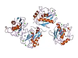 1qia: CRYSTAL STRUCTURE OF STROMELYSIN CATALYTIC DOMAIN