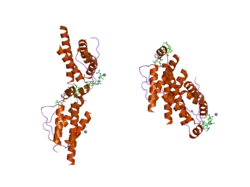 1qvn: Structure of SP4160 Bound to IL-2 V69A