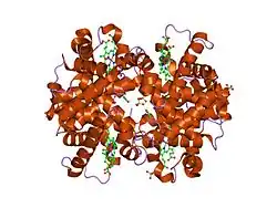 1qxd: Structural Basis for the Potent Antisickling Effect of a Novel Class of 5-Membered Heterocyclic Aldehydic Compounds