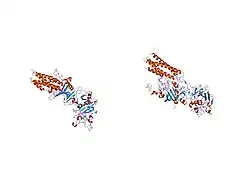 1re3: Crystal Structure of Fragment D of BbetaD398A Fibrinogen with the Peptide Ligand Gly-His-Arg-Pro-Amide