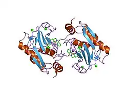 1ros: Crystal structure of MMP-12 complexed to 2-(1,3-dioxo-1,3-dihydro-2H-isoindol-2-yl)ethyl-4-(4-ethoxy[1,1-biphenyl]-4-yl)-4-oxobutanoic acid