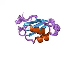 1s6o: Solution structure and backbone dynamics of the apo-form of the second metal-binding domain of the Menkes protein ATP7A
