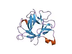 1t4q: Interleukin 1 beta F101W