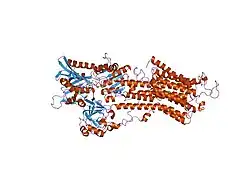 1t5t: Structure of the (SR)Ca2+-ATPase Ca2-E1-ADP:AlF4- form