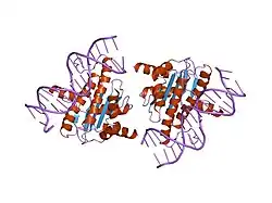 1tqe: Mechanism of recruitment of class II histone deacetylases by myocyte enhancer factor-2