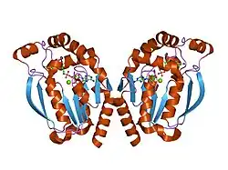 1uj2: Crystal structure of human uridine-cytidine kinase 2 complexed with products, CMP and ADP