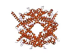 1v9d: Crystal structure of the core FH2 domain of mouse mDia1