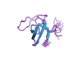 1w1f: SH3 DOMAIN OF HUMAN LYN TYROSINE KINASE