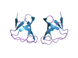1w6x: SH3 DOMAIN OF P40PHOX, COMPONENT OF THE NADPH OXIDASE