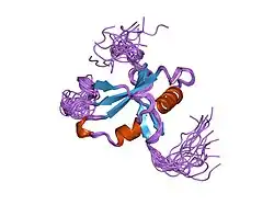 1wxa: Solution Structure of Ras-binding Domain in Mouse AF-6 Protein