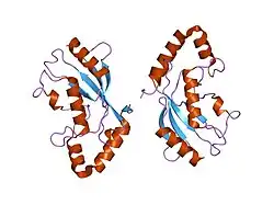 1wzv: Crystal Structure of UbcH8