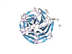 1x2r: Structural basis for the defects of human lung cancer somatic mutations in the repression activity of Keap1 on Nrf2