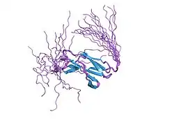 1x5h: The solution structure of the third fibronectin type III domain of human Neogenin