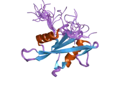 1x6c: Solution structures of the SH2 domain of human protein-tyrosine phosphatase SHP-1