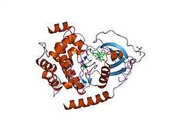 1xh8: Crystal Structures of Protein Kinase B Selective Inhibitors in Complex with Protein Kinase A and Mutants