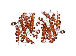 1xm4: Catalytic Domain Of Human Phosphodiesterase 4B In Complex With Piclamilast
