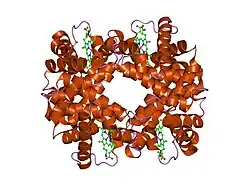 1y4r: T-To-T(High) quaternary transitions in human hemoglobin: betaF45A deoxy low-salt (1 test set)