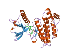 1y6a: Crystal structure of VEGFR2 in complex with a 2-anilino-5-aryl-oxazole inhibitor