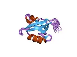 1y7n: Solution structure of the second PDZ domain of the human neuronal adaptor X11alpha