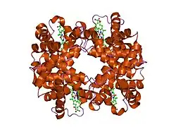 1ye0: T-To-T(High) quaternary transitions in human hemoglobin: betaV33A oxy (2MM IHP, 20% PEG) (1 test set)