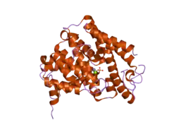 1z1l: The Crystal Structure of the Phosphodiesterase 2A Catalytic Domain