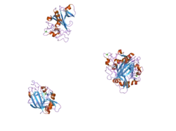 1z3u: Structure of the Angiopoietin-2 Receptor Binding Domain and Identification of Surfaces Involved in Tie2 Recognition