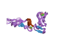 1z6c: Solution structure of an EGF pair (EGF34) from vitamin K-dependent protein S