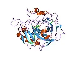 1zfk: carbonic anhydrase II in complex with N-4-sulfonamidphenyl-N'-4-methylbenzosulfonylurease as sulfonamide inhibitor