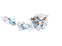 1zjk: Crystal structure of the zymogen catalytic region of human MASP-2