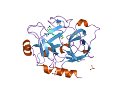 1zlr: Factor XI catalytic domain complexed with 2-guanidino-1-(4-(4,4,5,5-tetramethyl-1,3,2-dioxaborolan-2-yl)phenyl)ethyl nicotinate