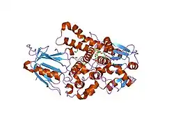 1zsq: Crystal Structure of MTMR2 in complex with phosphatidylinositol 3-phosphate