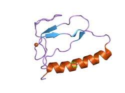 1zt5: C-terminal domain of Insulin-like Growth Factor Binding Protein-1 isolated from human amniotic fluid complexed with Iron(II)