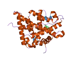 2a3i: Structural and Biochemical Mechanisms for the Specificity of Hormone Binding and Coactivator Assembly by Mineralocorticoid Receptor