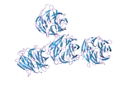 2b5n: Crystal Structure of the DDB1 BPB Domain