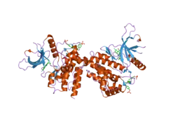 2b7a: The structural basis of Janus Kinase 2 inhibition by a potent and specific pan-Janus kinase inhibitor